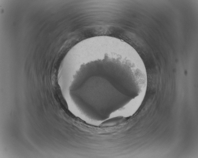 X0000062630035200601181731