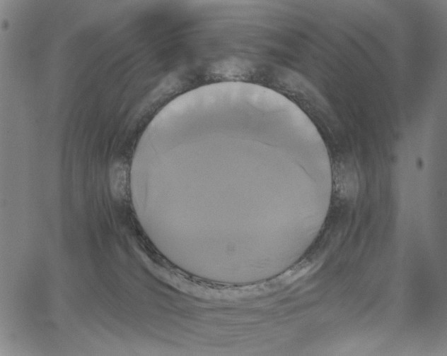 X0000062630036200601181731