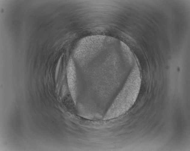 X0000062630037200601181731