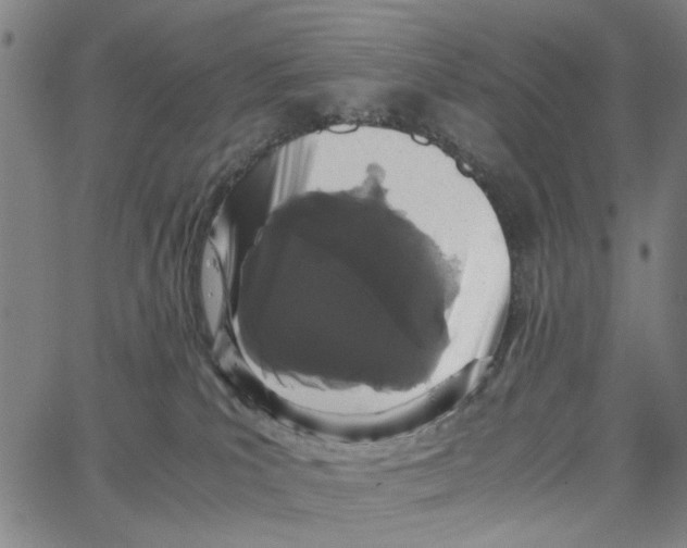 X0000062630039200601181731