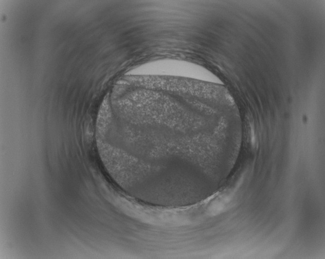 X0000062630040200601181731