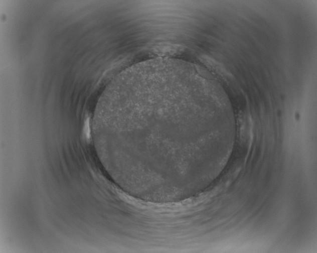 X0000062630042200601181731