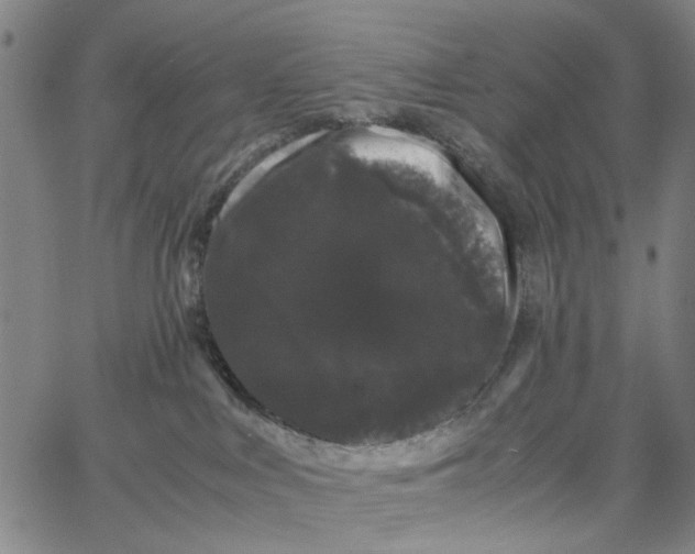 X0000062630043200601181731