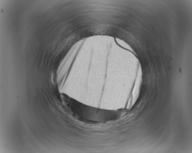 X0000062630044200601181731