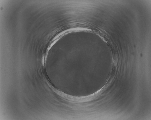 X0000062630047200601181731