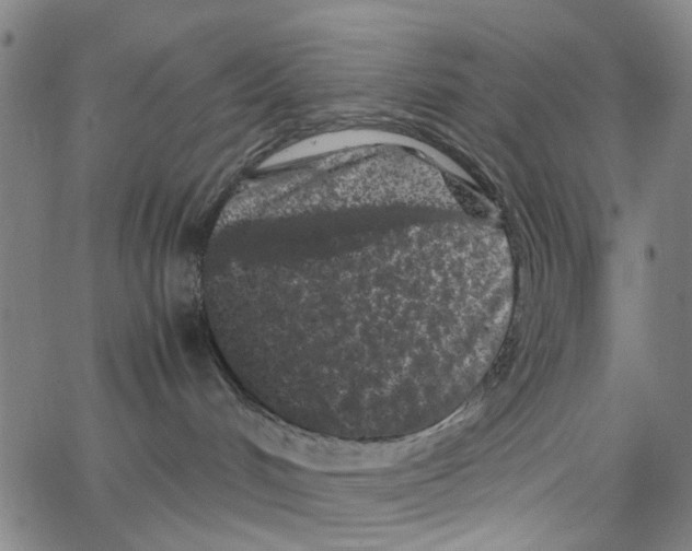 X0000062630048200601181731