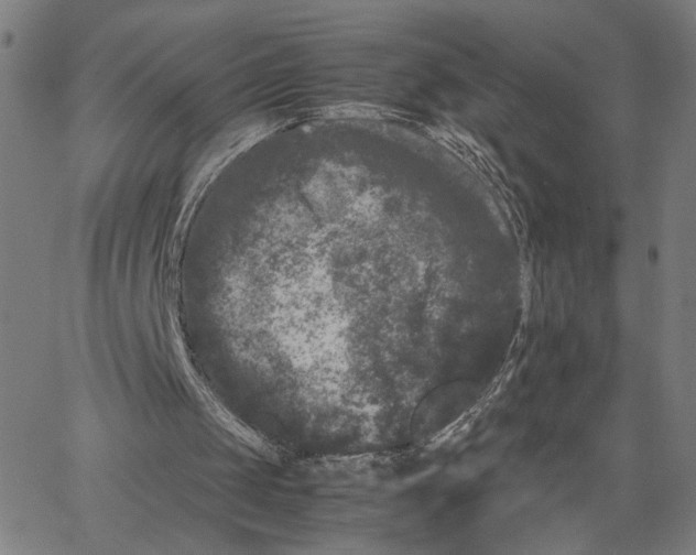 X0000062630049200601181730