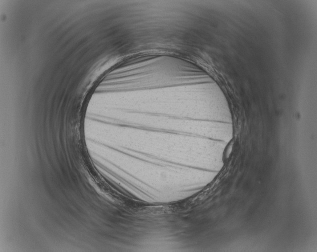 X0000062630050200601181730