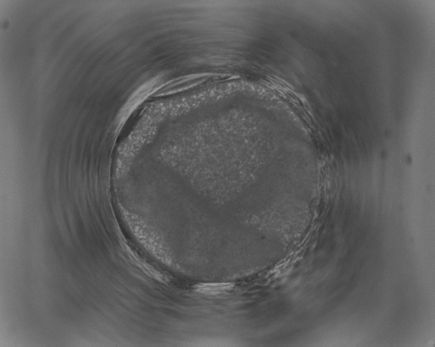 X0000062630051200601181730