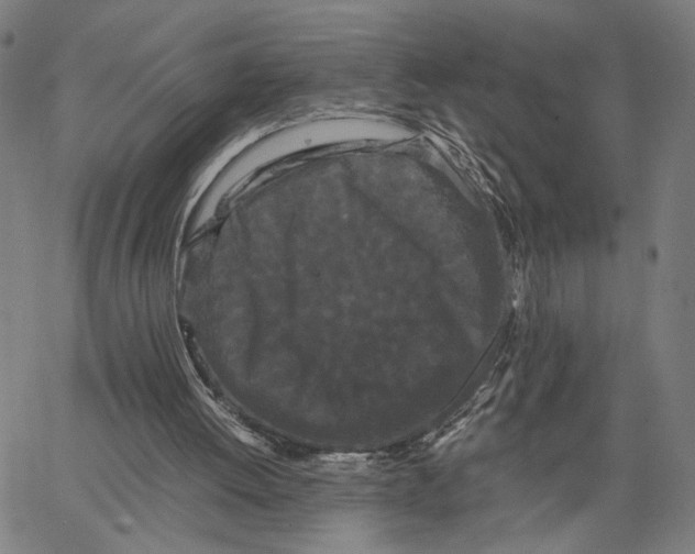 X0000062630052200601181730