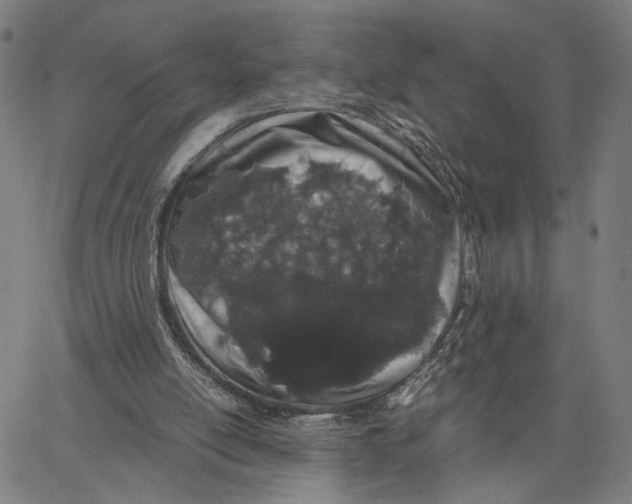 X0000062630054200601181730