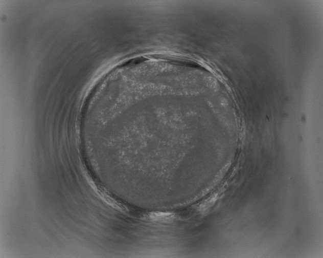 X0000062630055200601181730