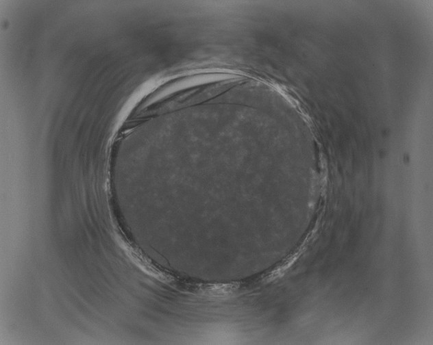 X0000062630056200601181730