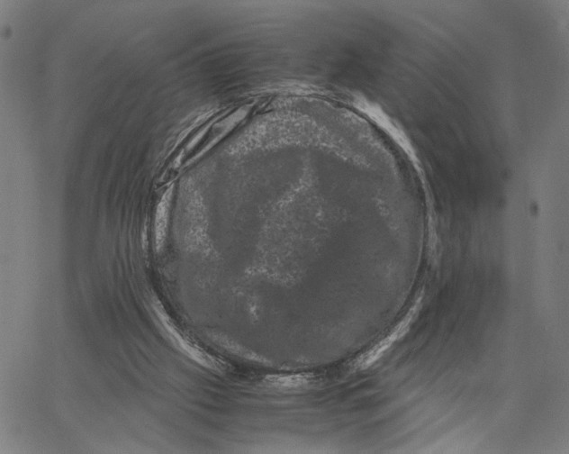 X0000062630057200601181730