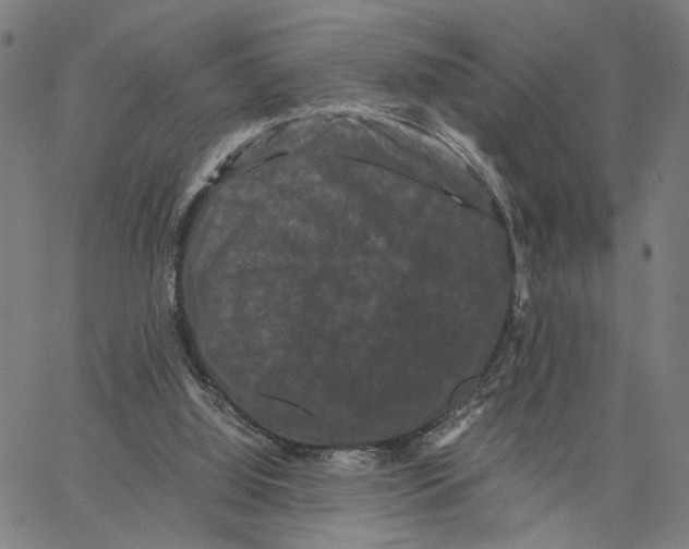 X0000062630060200601181730