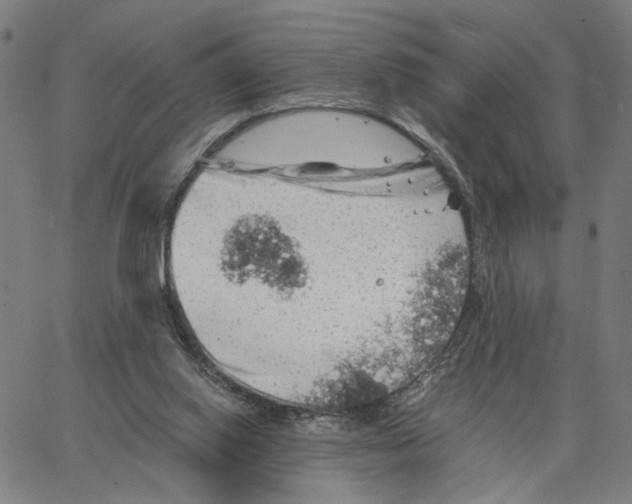 X0000062630062200601181730