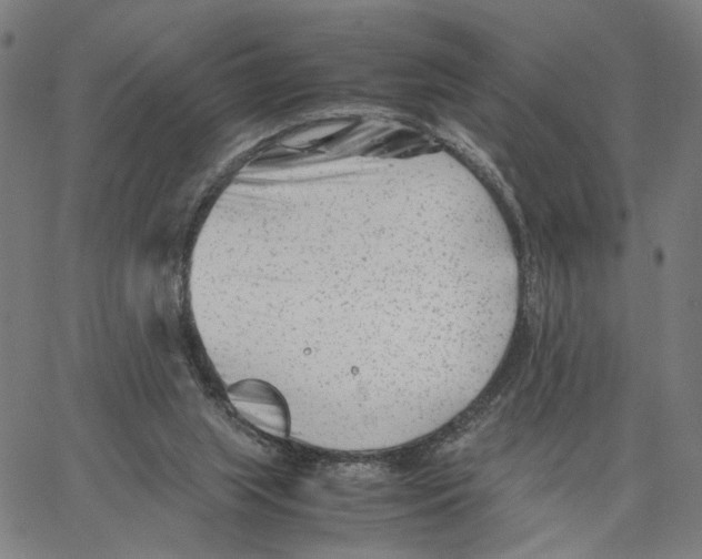 X0000062630063200601181730