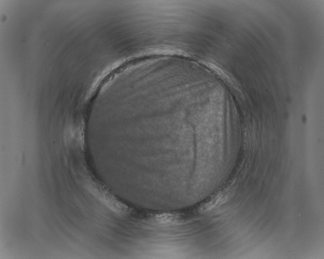 X0000062630064200601181730