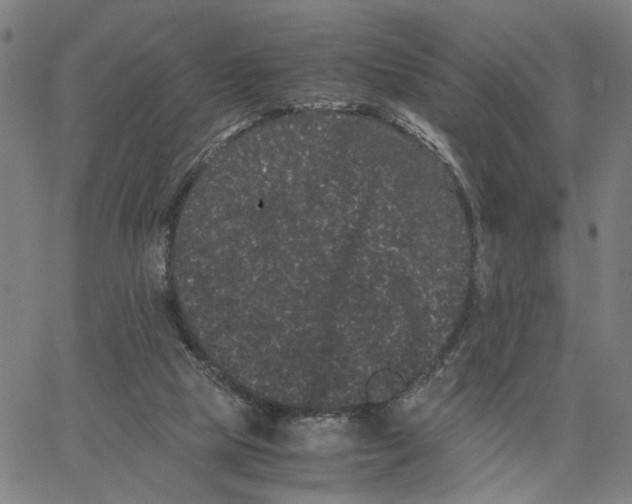 X0000062630065200601181730