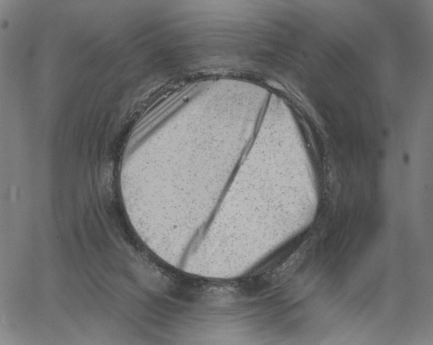 X0000062630066200601181730