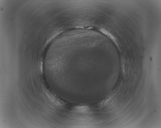 X0000062630067200601181730