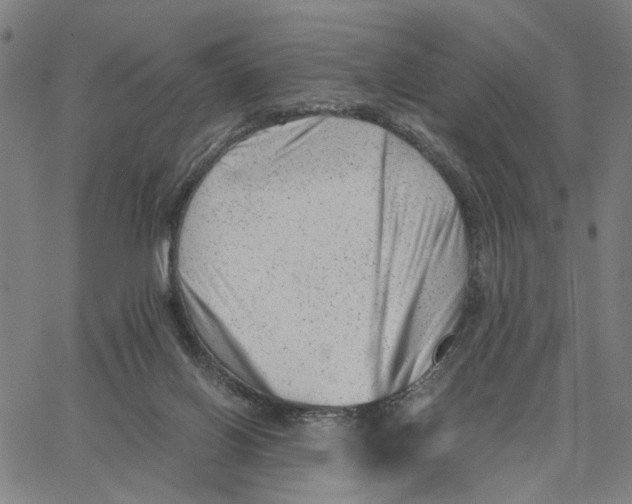 X0000062630070200601181730