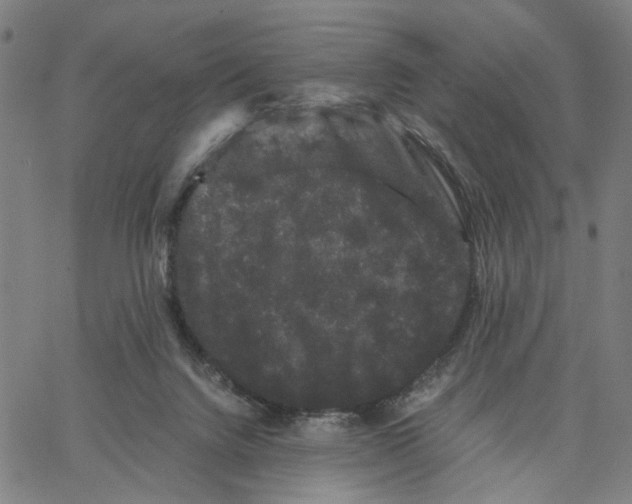 X0000062630072200601181730