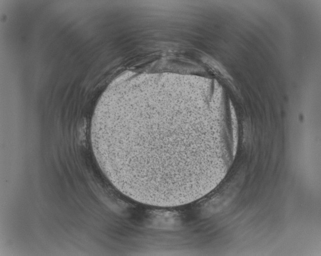 X0000062630073200601181730