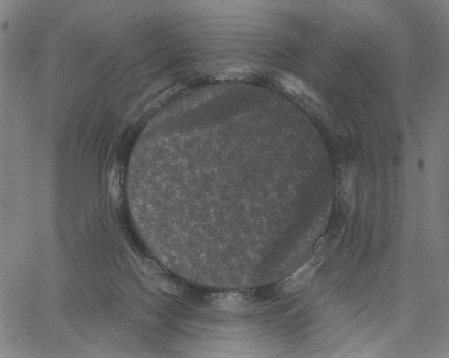 X0000062630074200601181730