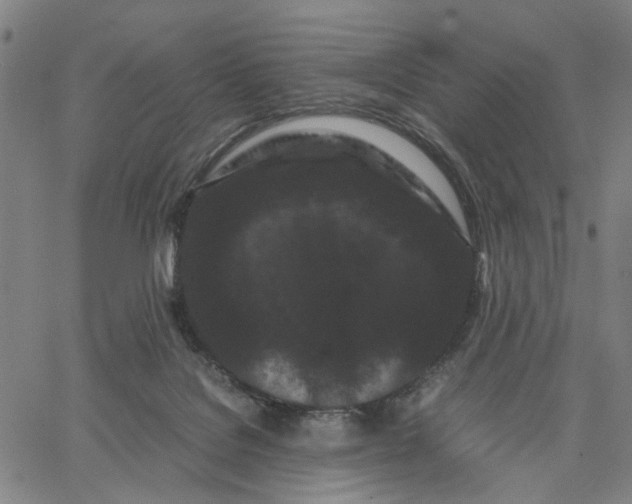 X0000062630076200601181730