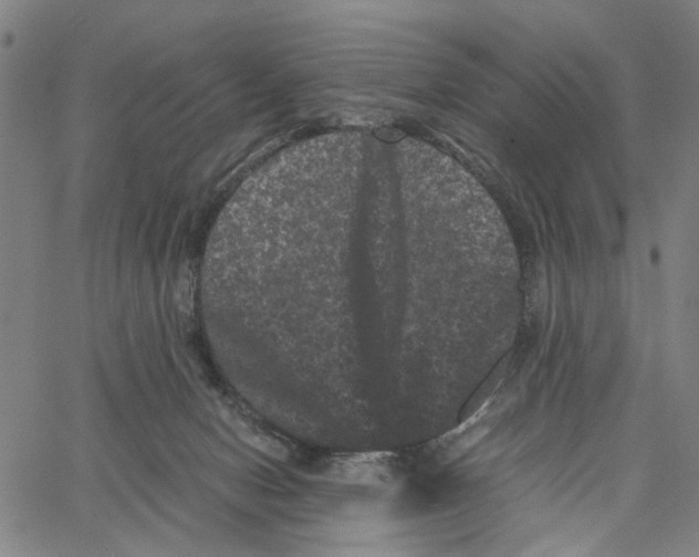 X0000062630078200601181730