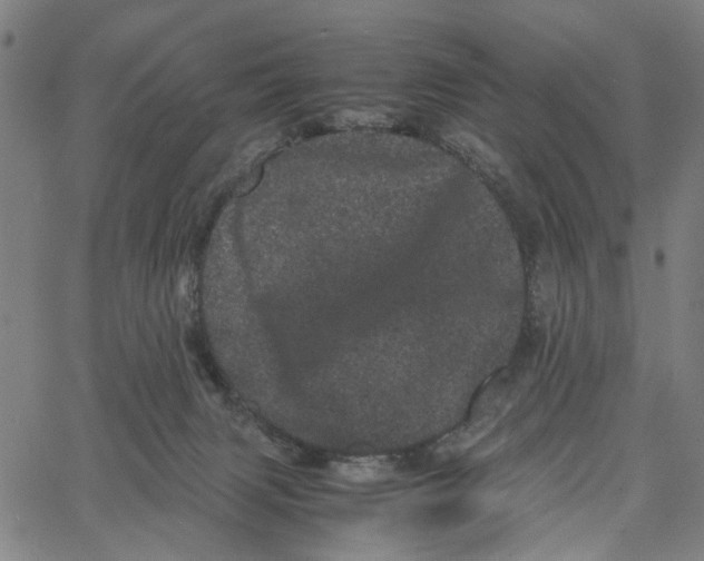 X0000062630079200601181730