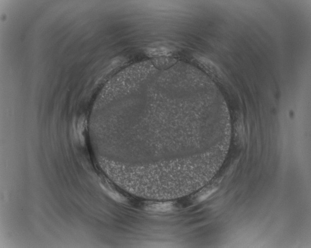 X0000062630081200601181730