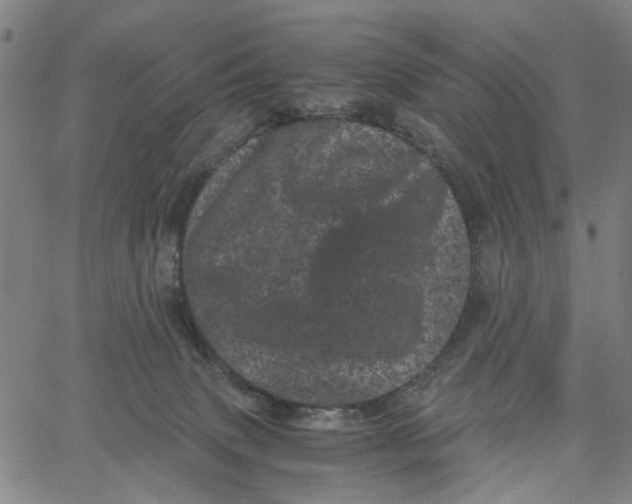 X0000062630083200601181730