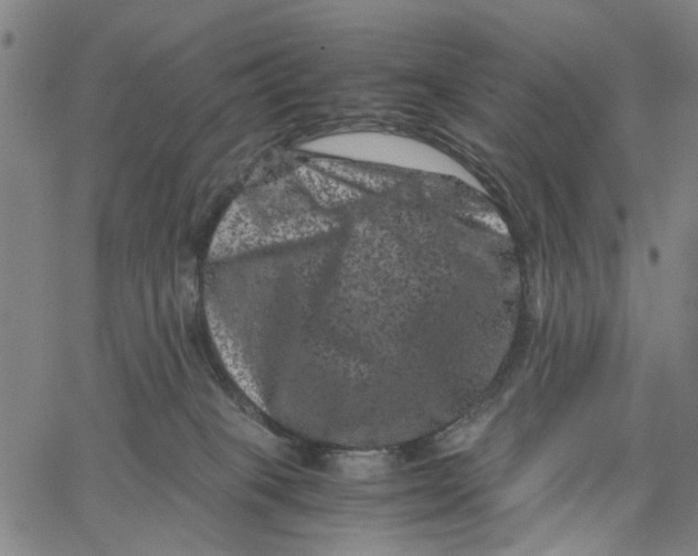 X0000062630085200601181730