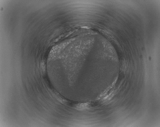 X0000062630086200601181730