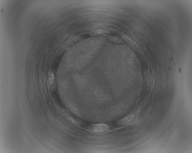 X0000062630087200601181730