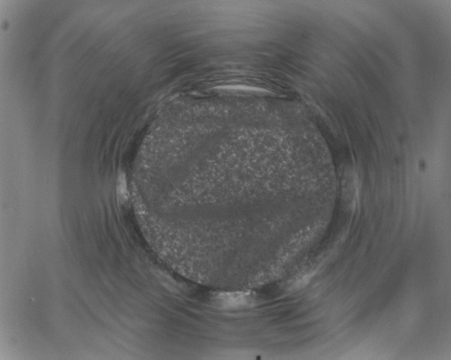 X0000062630089200601181730