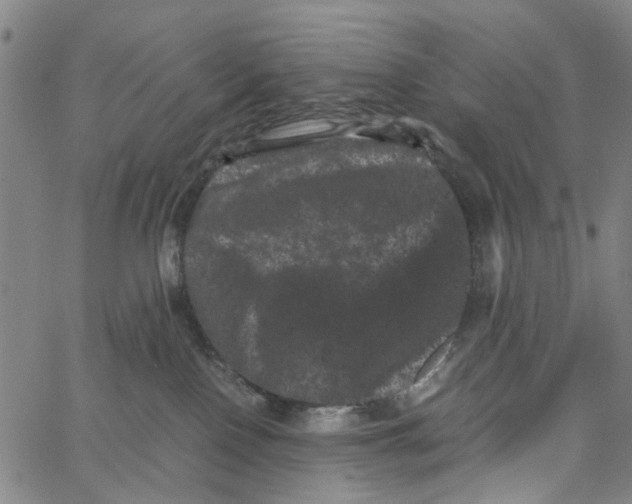 X0000062630090200601181730