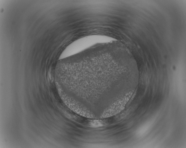 X0000062630091200601181730