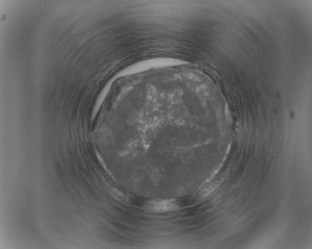 X0000062630093200601181730