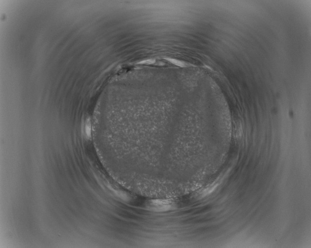 X0000062630095200601181730