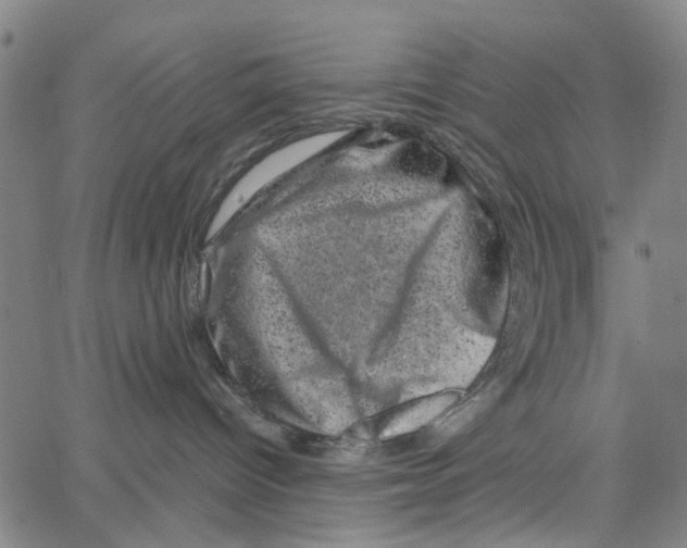 X0000062630096200601181730