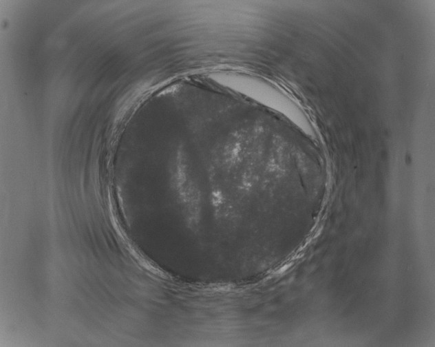 X0000062630097200601181730