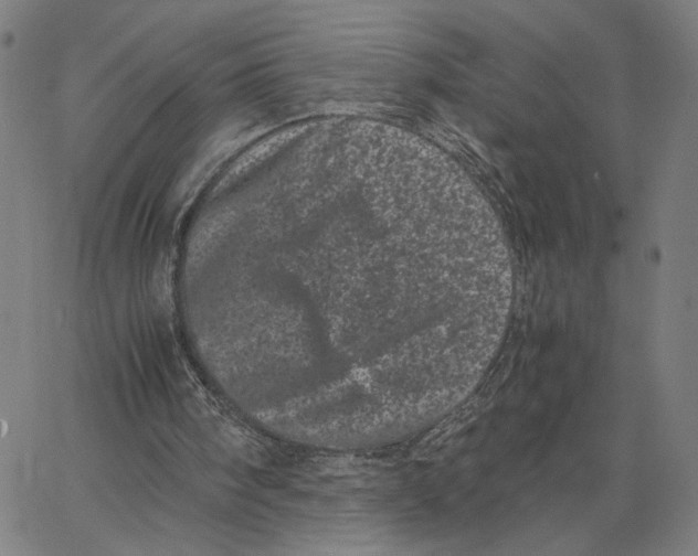 X0000062630098200601181730