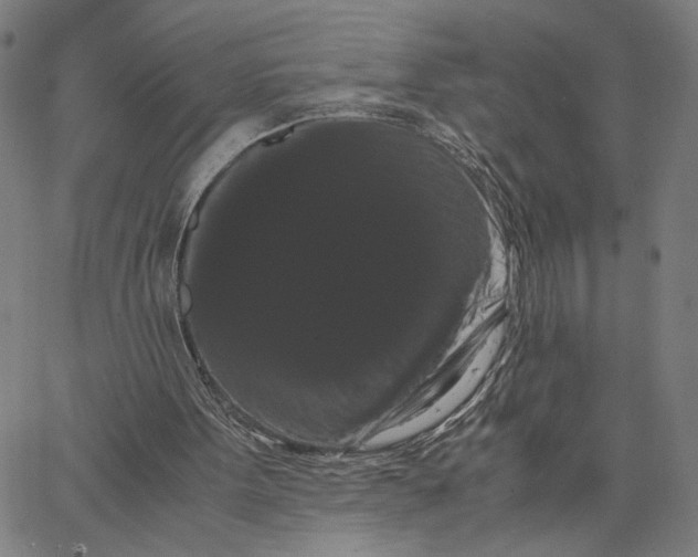 X0000062630099200601181730