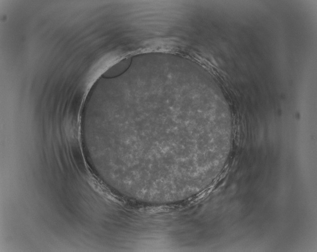 X0000062630100200601181730