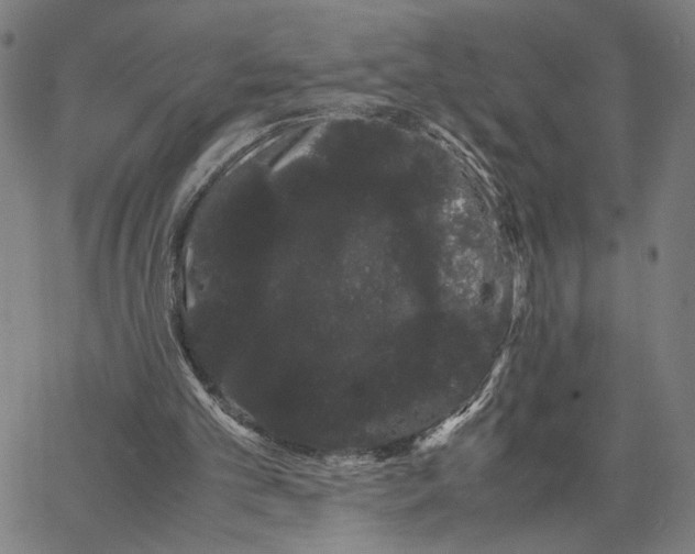 X0000062630101200601181730