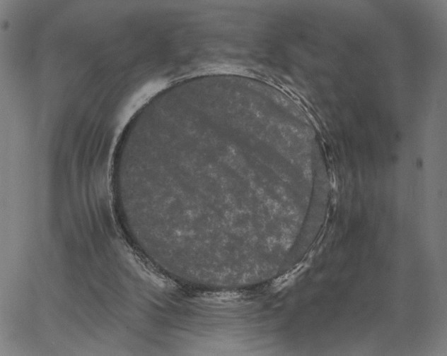 X0000062630104200601181730