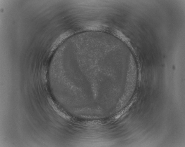 X0000062630106200601181730